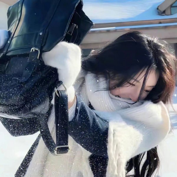 灰狐